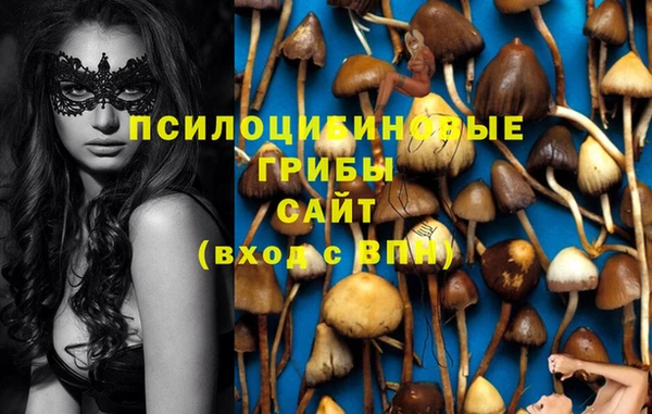 гашик Вязники