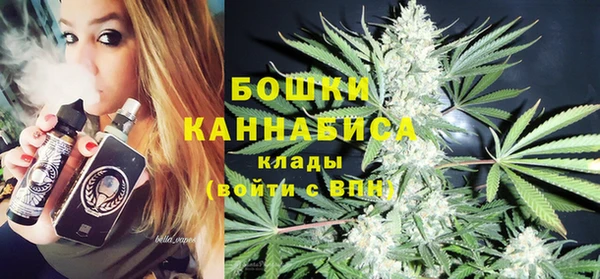 прущие грибы Вяземский
