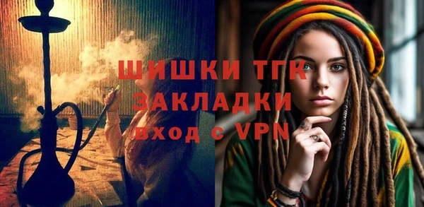 прущие грибы Вяземский