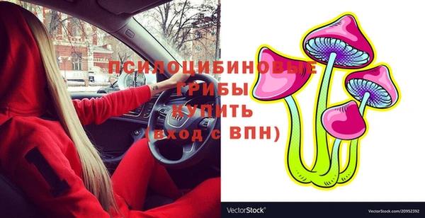 гашик Вязники