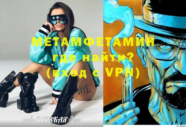 прущие грибы Вяземский
