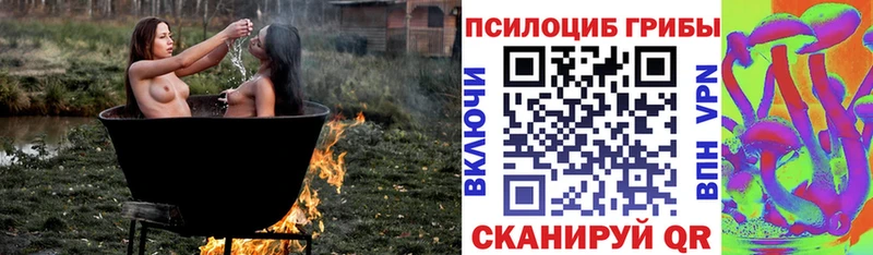 Купить где  Перевоз  Галлюциногенные грибы мицелий 